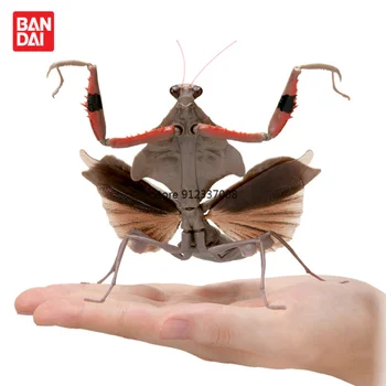 Bandai Gashapon Beeldje Deroplatys Brancsikia Parablepharis Biologie Capsule Speelgoed Mantis Simulatie Grote Insecten Model Collectie