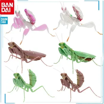 Bandai Insecten Serie Mantis Spider Schorpioen Wesp Simulatie Insect Verschillende Stijlen En Modellen Action Figure Model Speelgoed Brinquedo