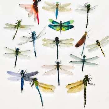 1 Zakje (30 stuks ) Vlinder Dragonfly Groot Formaat Hand-Account Kind Dagboek Decoratie Sticker