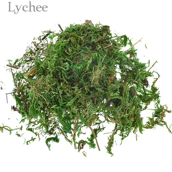 Lychee Leven 10g Kunstmatig Droog Groene Mos Gesimuleerde Groene Plant Garden Flower Pot Decoratie